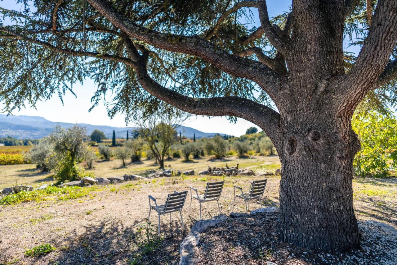 La Sainte-Croix: Traditional Provencal Retreat with Pool Vaison-la-Romaine Exterior photo