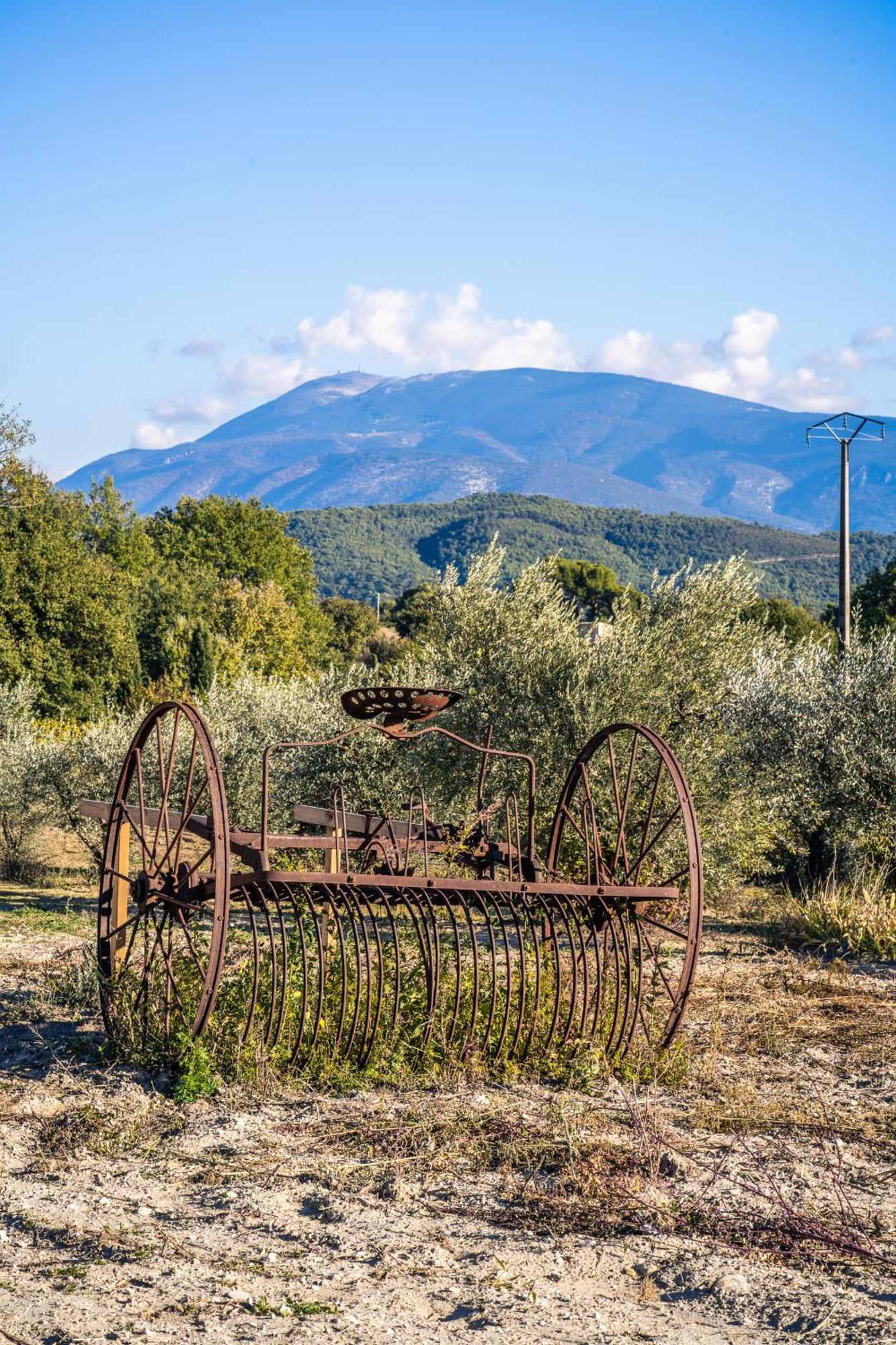 La Sainte-Croix: Traditional Provencal Retreat with Pool Vaison-la-Romaine Exterior photo